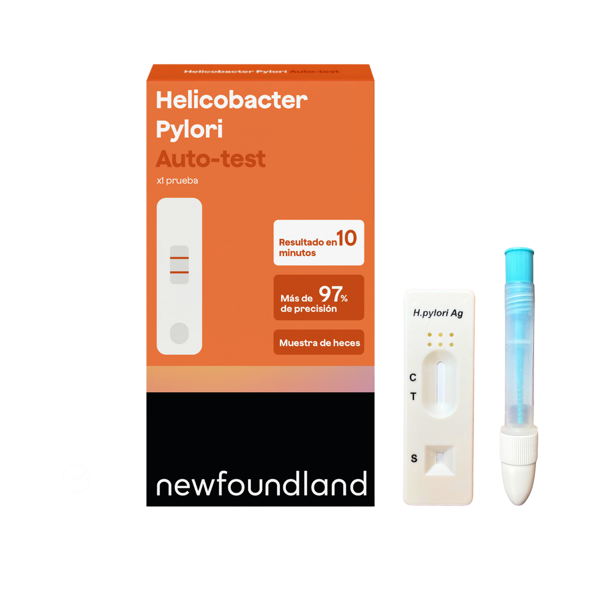 Helicobacter Pylori
